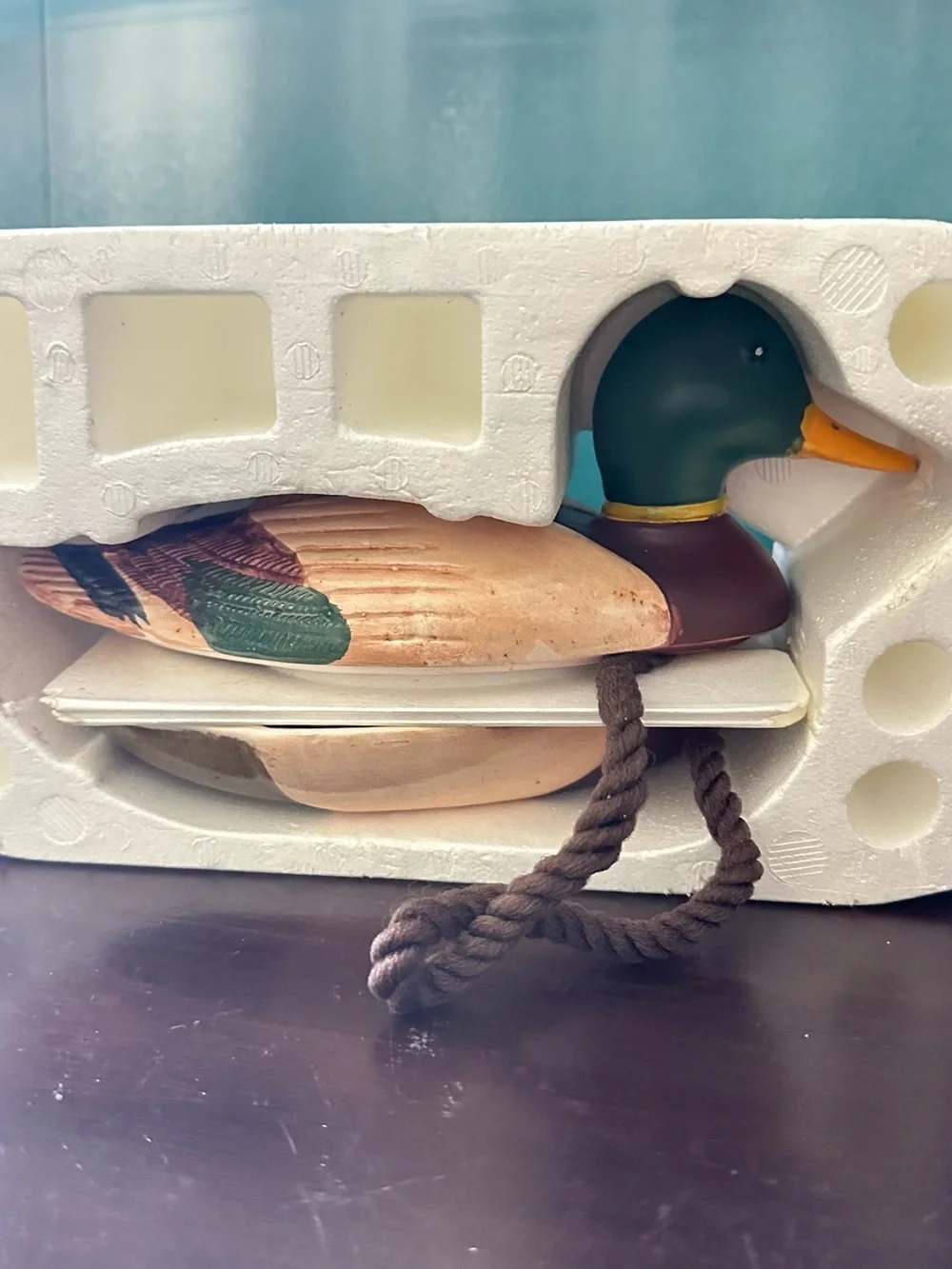 N/A charming mallard